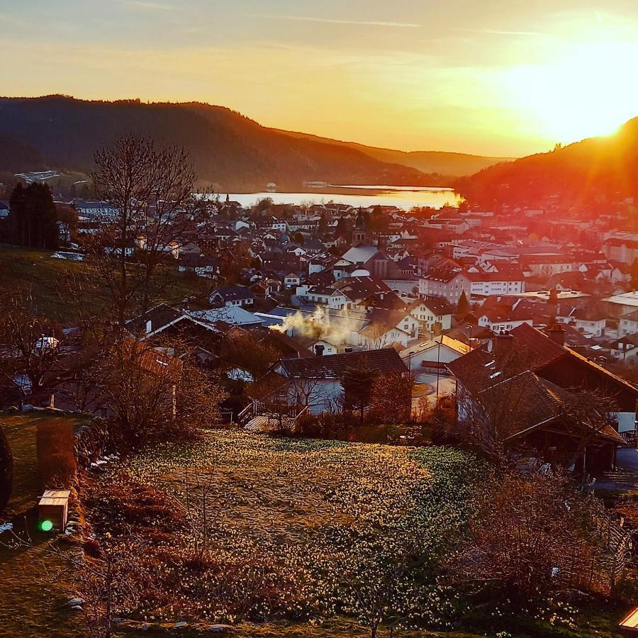 Aux Bonheurs Du Lac ジェラールメ エクステリア 写真